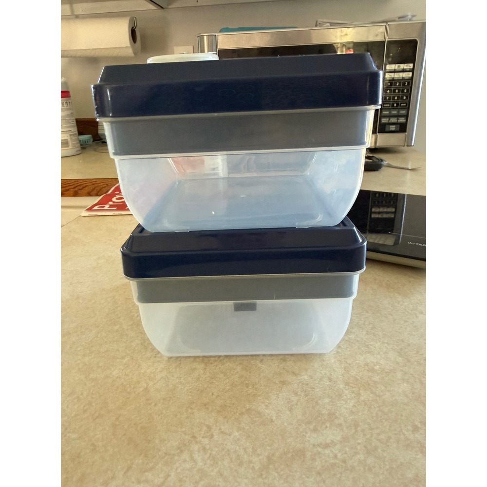 Fit + Fresh Bento Lunch Box Set of 2 Clear Containers Navy Blue Lids